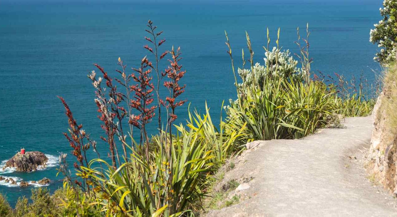 Image Of A Trail On A Cliff Above The Ocean, Depicting "the Path Forward" Solution-Focused Brief Therapy (SFBT) Offered At Wave Counselling And Wellness In Newfoundland And Labrador.