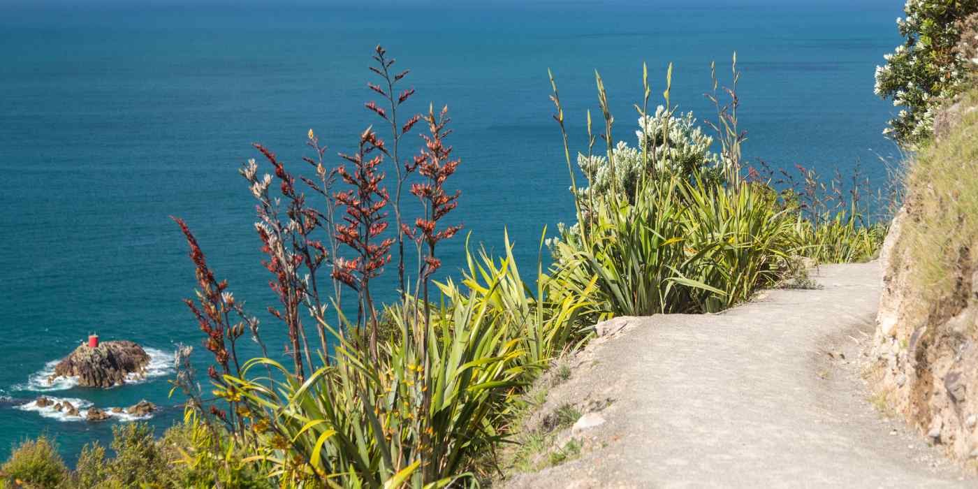 Image of a trail on a cliff above the ocean, depicting "the path forward" solution-focused brief therapy (sfbt) offered at wave counselling and wellness in newfoundland and labrador.